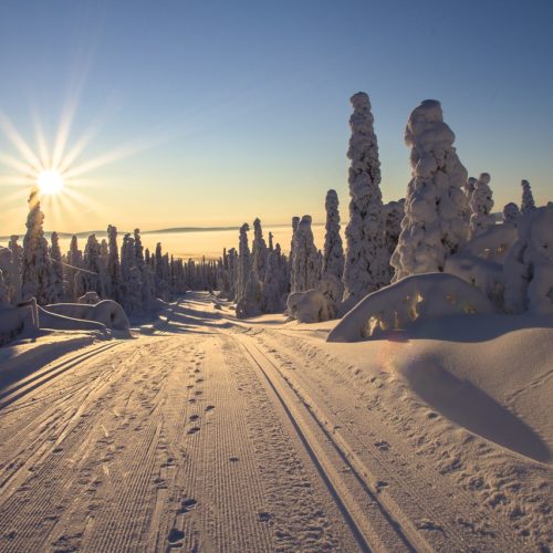 Offerte Capodanno in Lapponia  2025 – CHARMING LAPLAND ADULTS ONLY · Il Lodge nella foresta artica, Lapponia Svedese · Partenza 28 dicembre