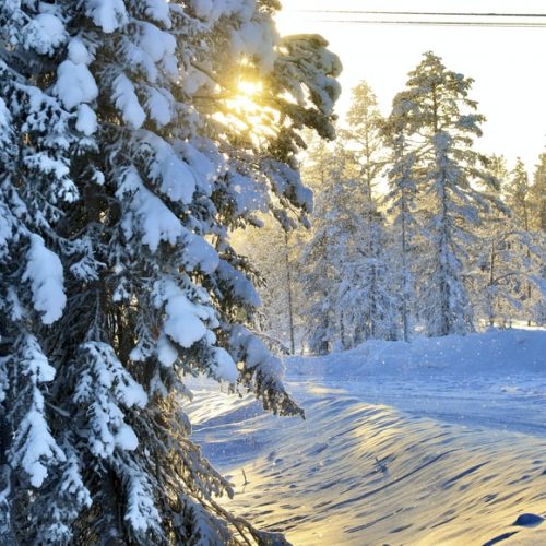 CAPODANNO NELLA LAPPONIA SVEDESE SCONOSCIUTA CON ACCOMPAGNATORE… ma non solo – HAPARANDA – Tra le nevi della Lapponia svedese. Partenze fino a marzo 2025