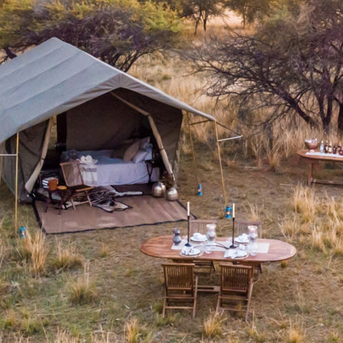 Offerta Botswana – Glamping in Botswana e Safari