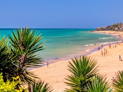 Offerta Canarie – Fuerteventura – da Gennaio ad Aprile 2025