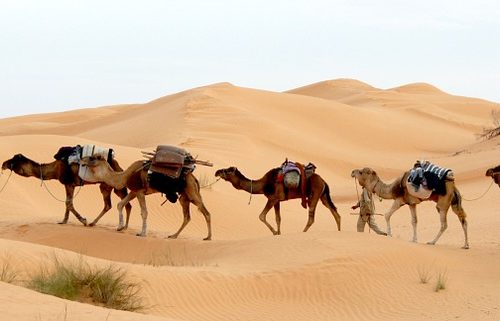 Capodanno in Tunisia 2025 ma non solo – Tour Tunisia, Oasi e Città Romane – Partenze da ottobre fino a Capodanno incluso