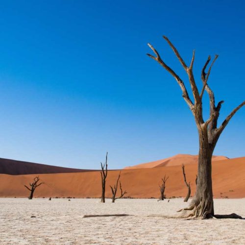 OFFERTA VIAGGIO NAMIBIA – HIGHLIGHTS 2025