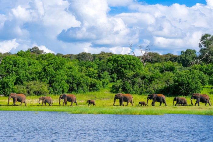 BOTSWANA ” Natura Selvaggia – viaggio di gruppo partenza 3 Dicembre sistemazione in tenda